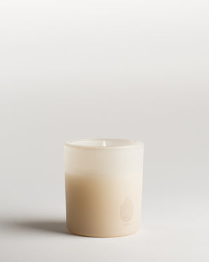 Candle lantern frosted, Vanilla, LED light