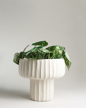 Pot Maja, cream 30×27cm